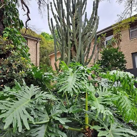 Lovely 1Bed Apartment Sydney Inner West W Parking Exterior photo
